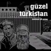 Mehmet Ali Aslan - Güzel Türkistan - Single